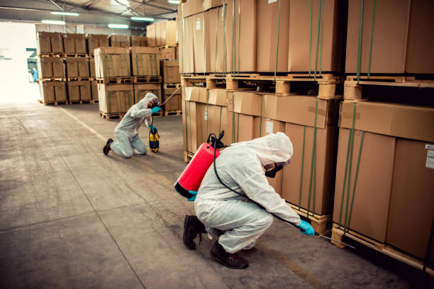 Best Pest Removal Services  in American Falls, ID