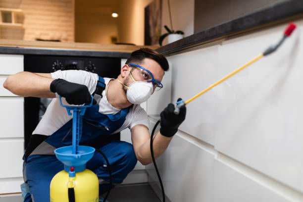 Best Pest Control for Businesses  in American Falls, ID