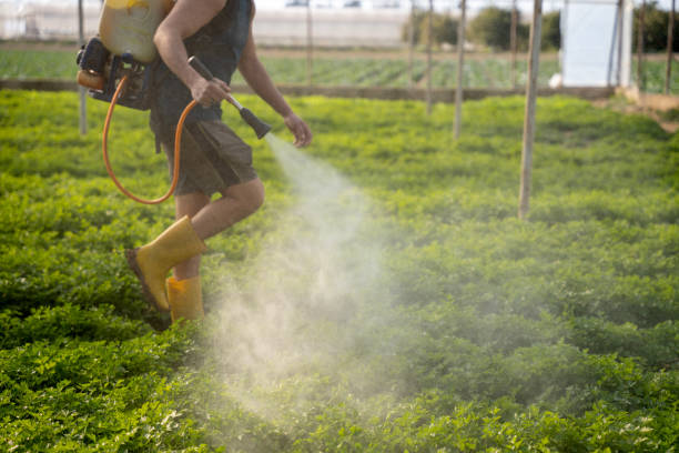 Best Best Pest Control Companies  in American Falls, ID