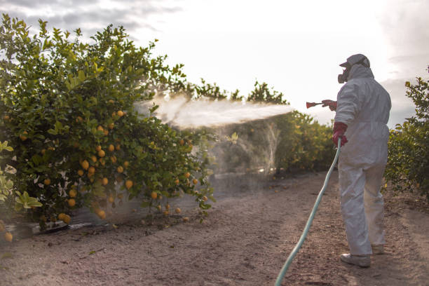 Best Commercial Pest Control Services  in American Falls, ID