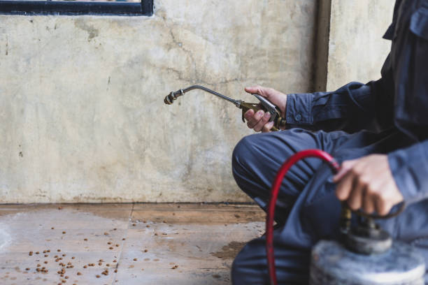 Best Best Pest Control Companies  in American Falls, ID